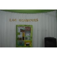 Expo Proyectos y Emprendimientos Empresariales 2017